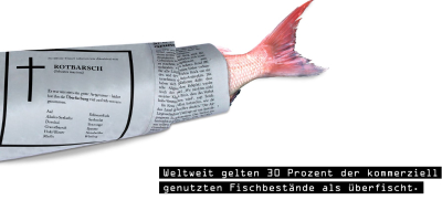 Konzeptionelles Poster zum Artenschutz: Die rote Schwanzflosse eines Rotbarsches ist in Zeitungspapier eingewickelt, das als Traueranzeige gestaltet ist. Das minimalistische Design auf weißem Grund betont die Botschaft der ökologischen Krise.